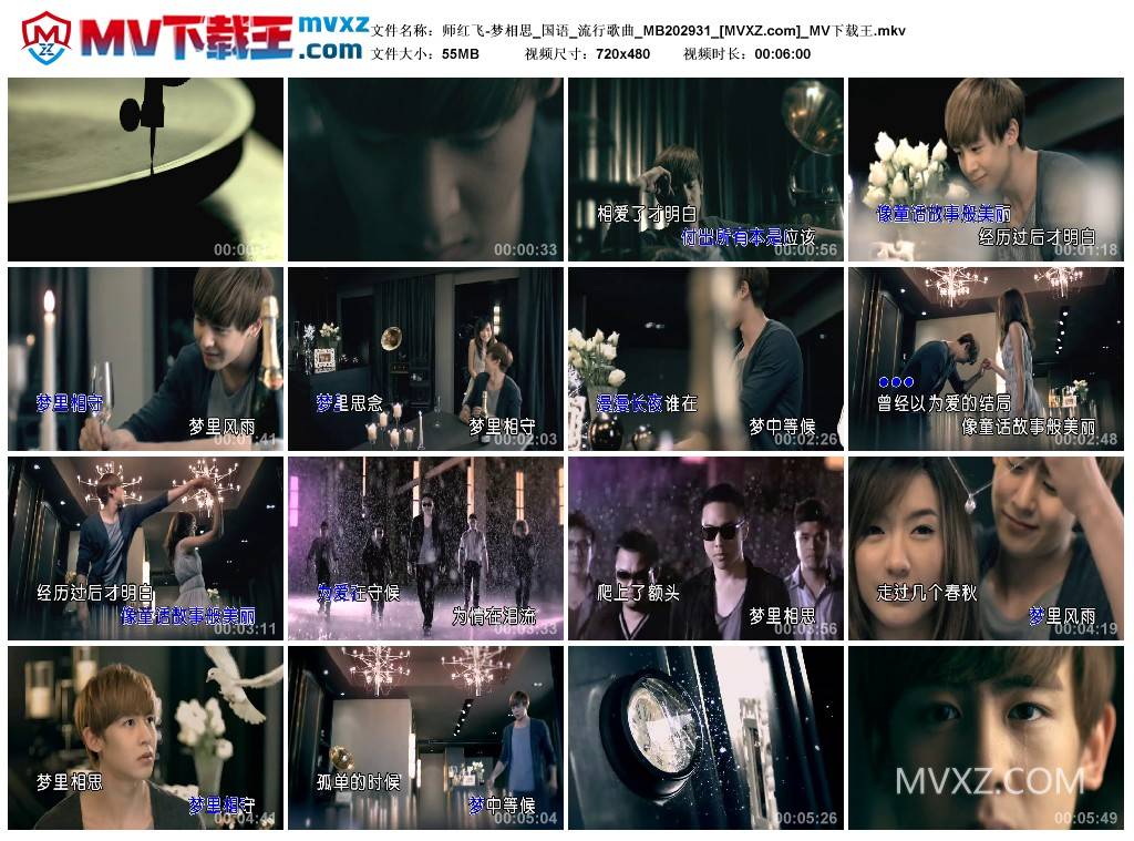 师红飞-梦相思_国语_流行歌曲_MB202931